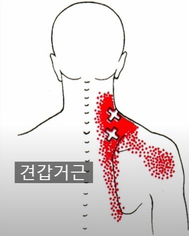 다함케어 이미지