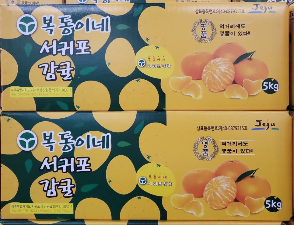 복동이 이미지