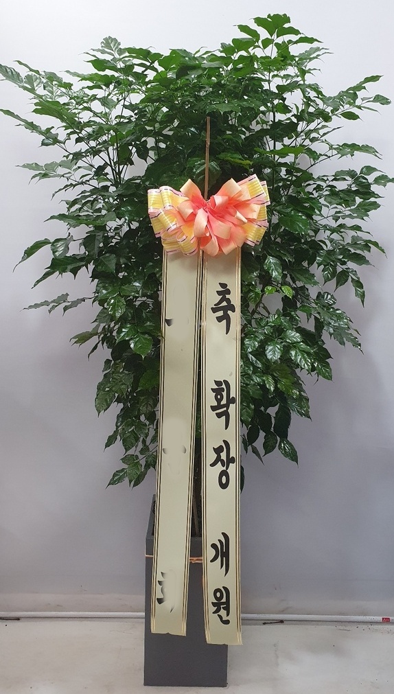 유정 Flower 이미지