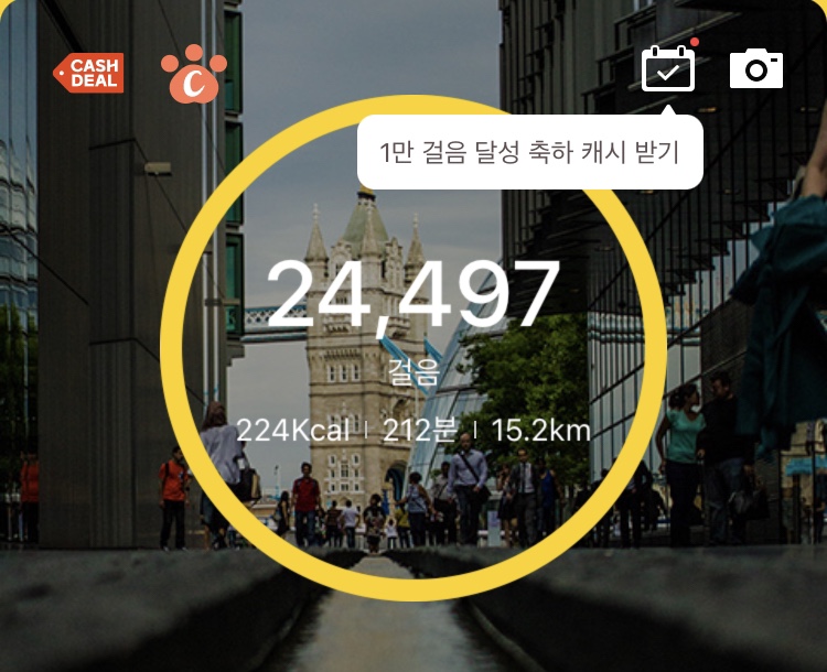 토토로 라멘 이미지