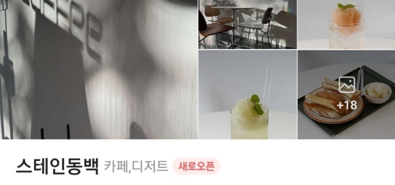스테인동백 이미지