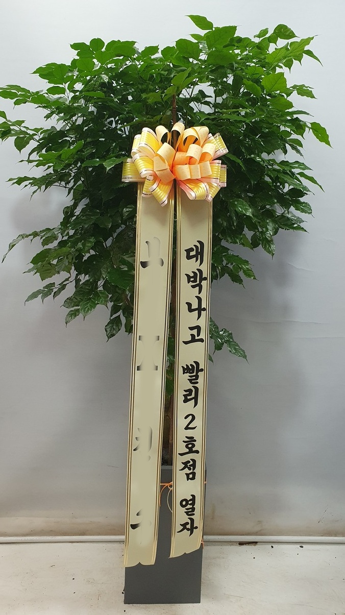 유정 Flower 이미지