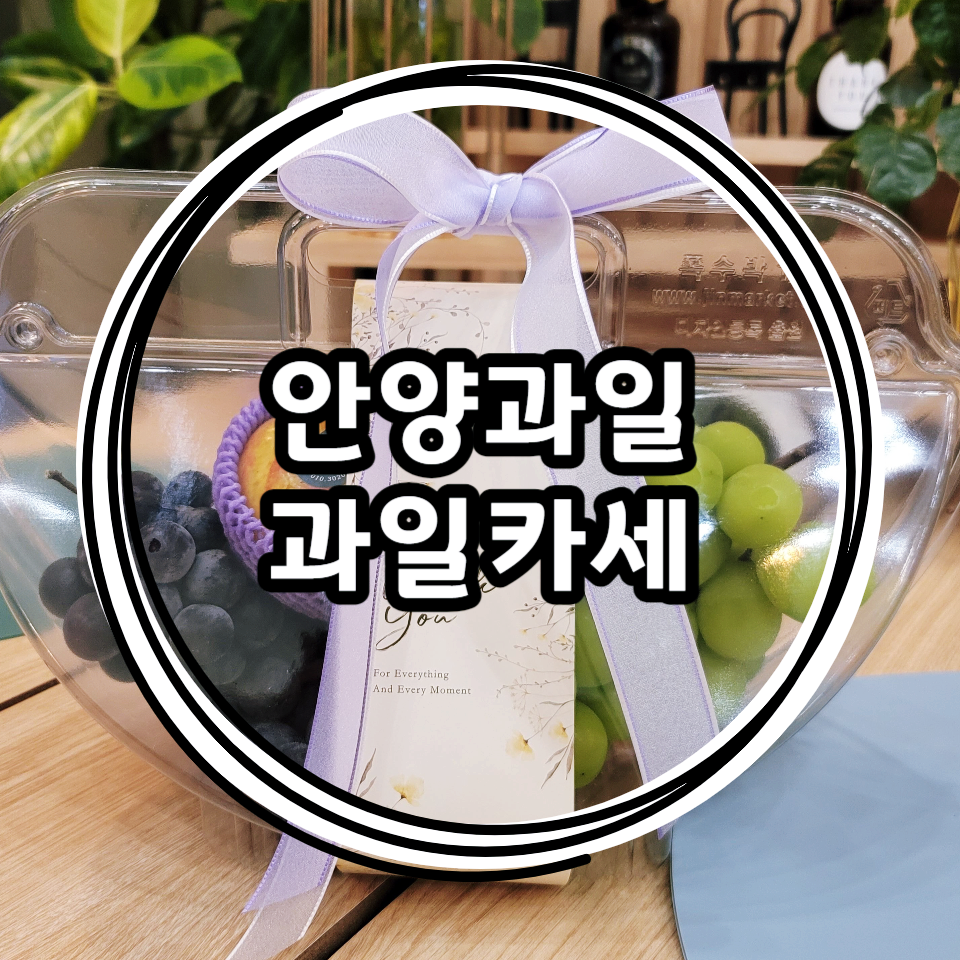 과일카세 이미지