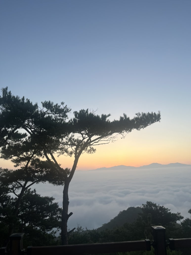 곡성군 삼인동 유아숲체험원 이미지