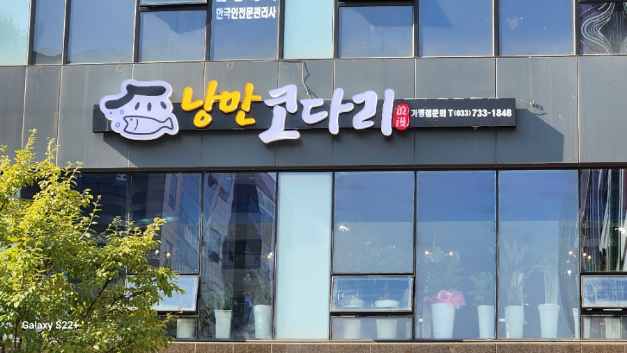 낭만코다리 이미지