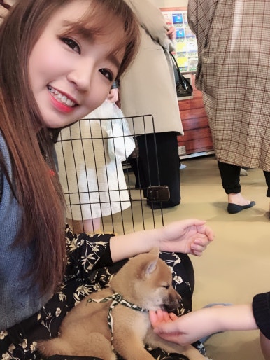 샵아이스크림호수 이미지