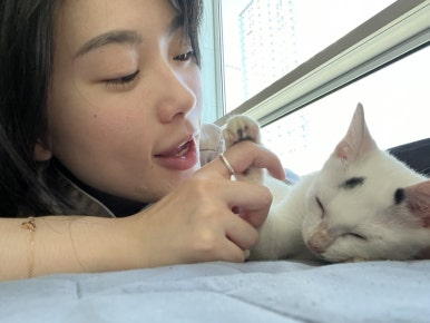 새또미 이미지