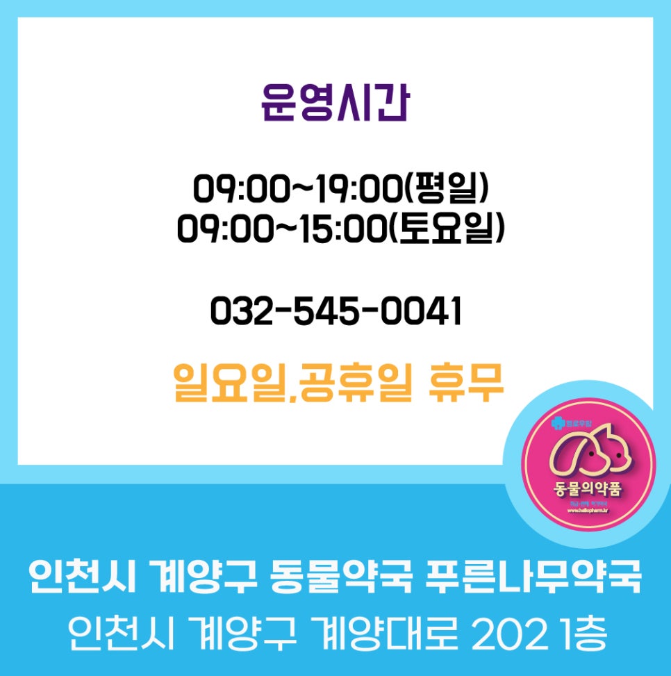 경인나무병원 이미지