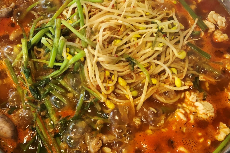 제주곤이칼국수 이미지