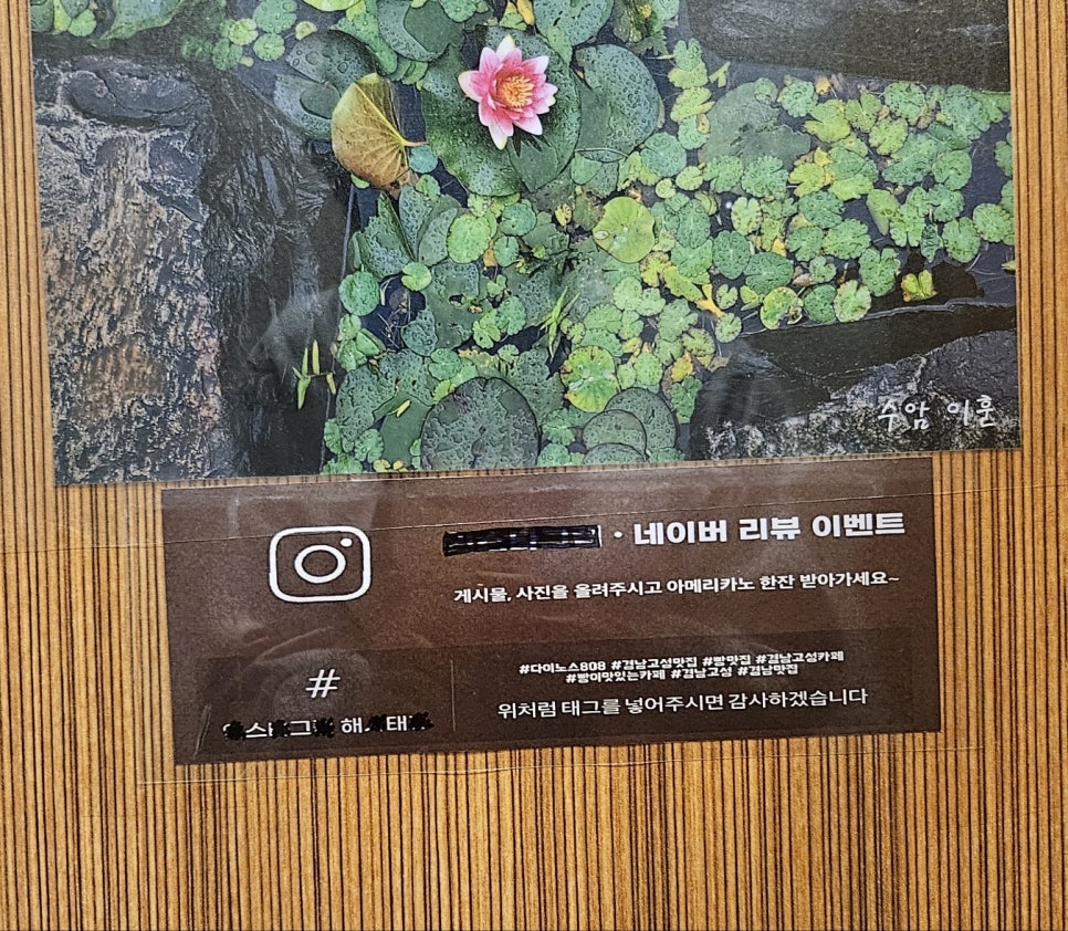 다이노스808 이미지