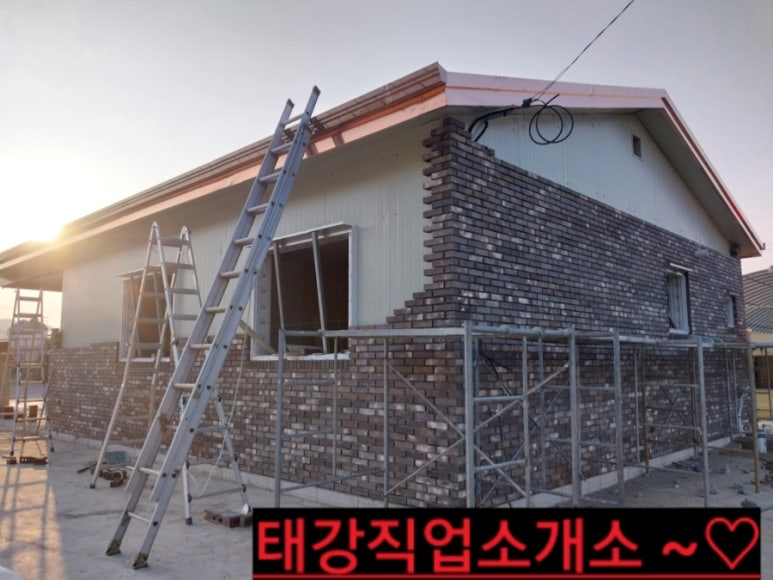 칼라직업소개소 이미지