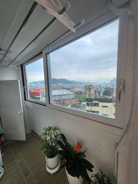 팔도샷시 이미지