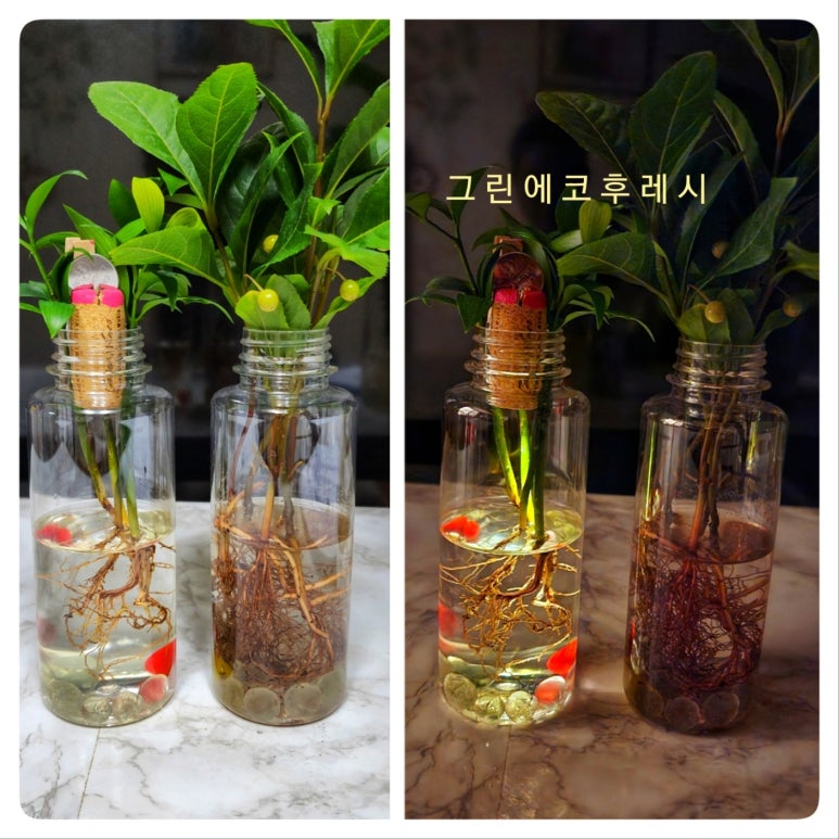 미래학습공원네트워크협동조합 이미지