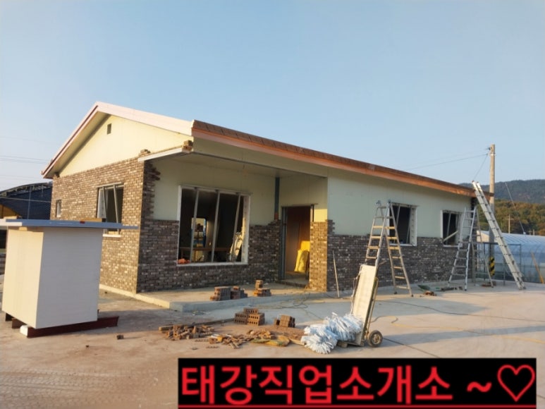 칼라직업소개소 이미지