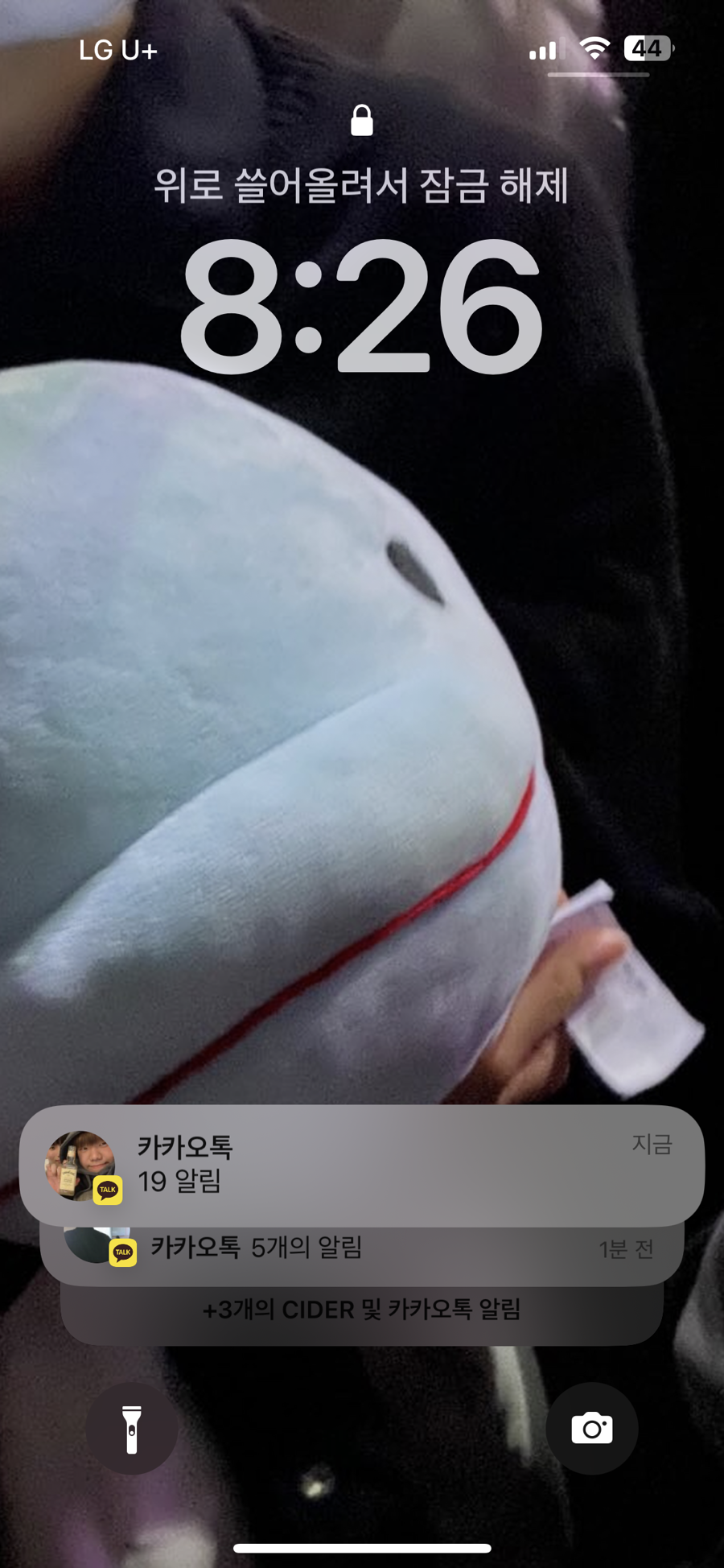 우배배 이미지