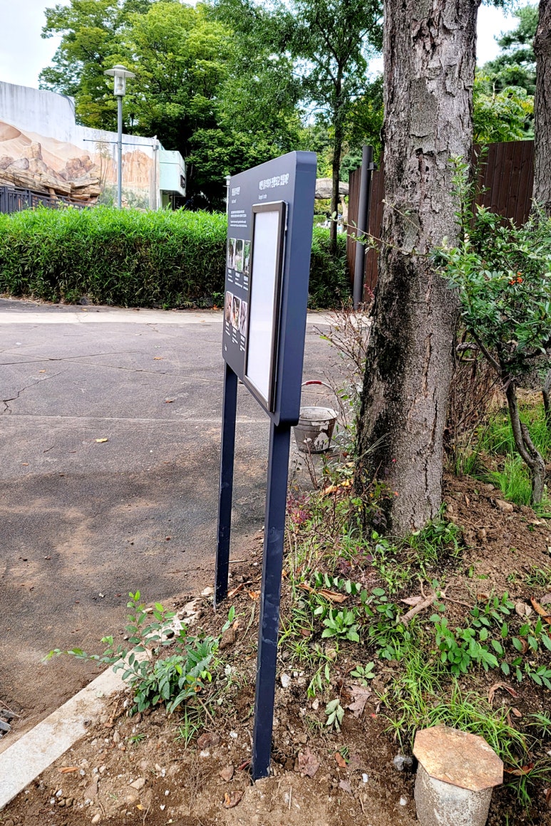 서울스카시 이미지