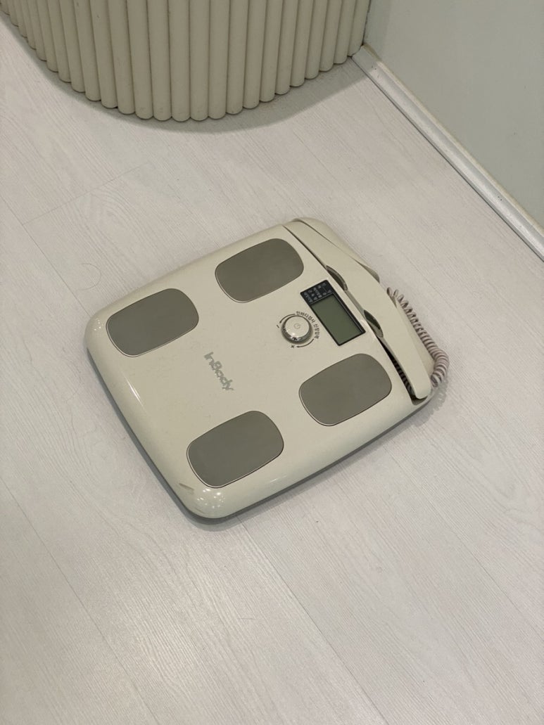 아로와앤아로와나 이미지