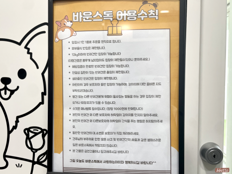 바운스독카페 이미지