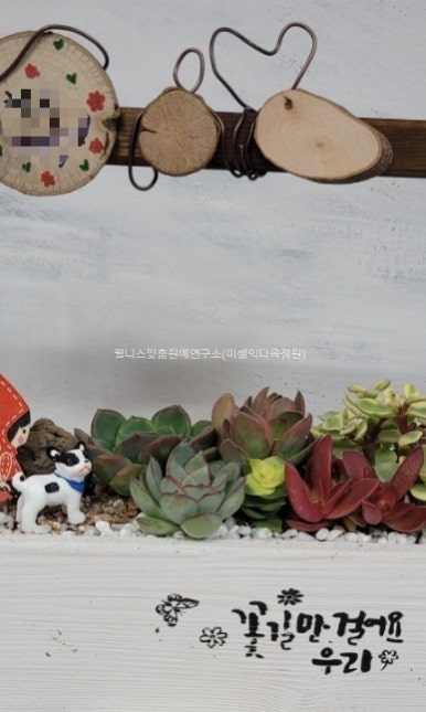 한국웰니스맞춤원예연구소 이미지