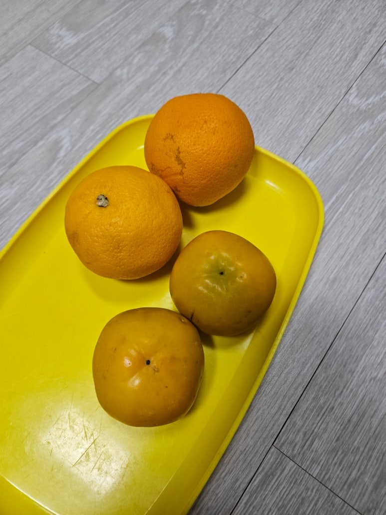 떡볶이당 이미지