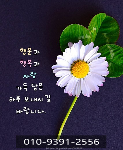 오성집수리 이미지