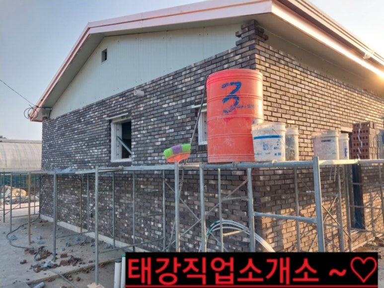 칼라직업소개소 이미지