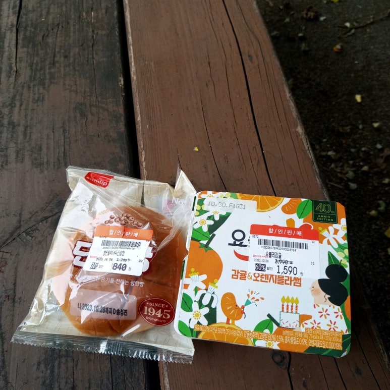 디온플러스 이미지