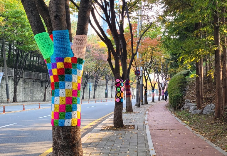 뜨개나무 이미지