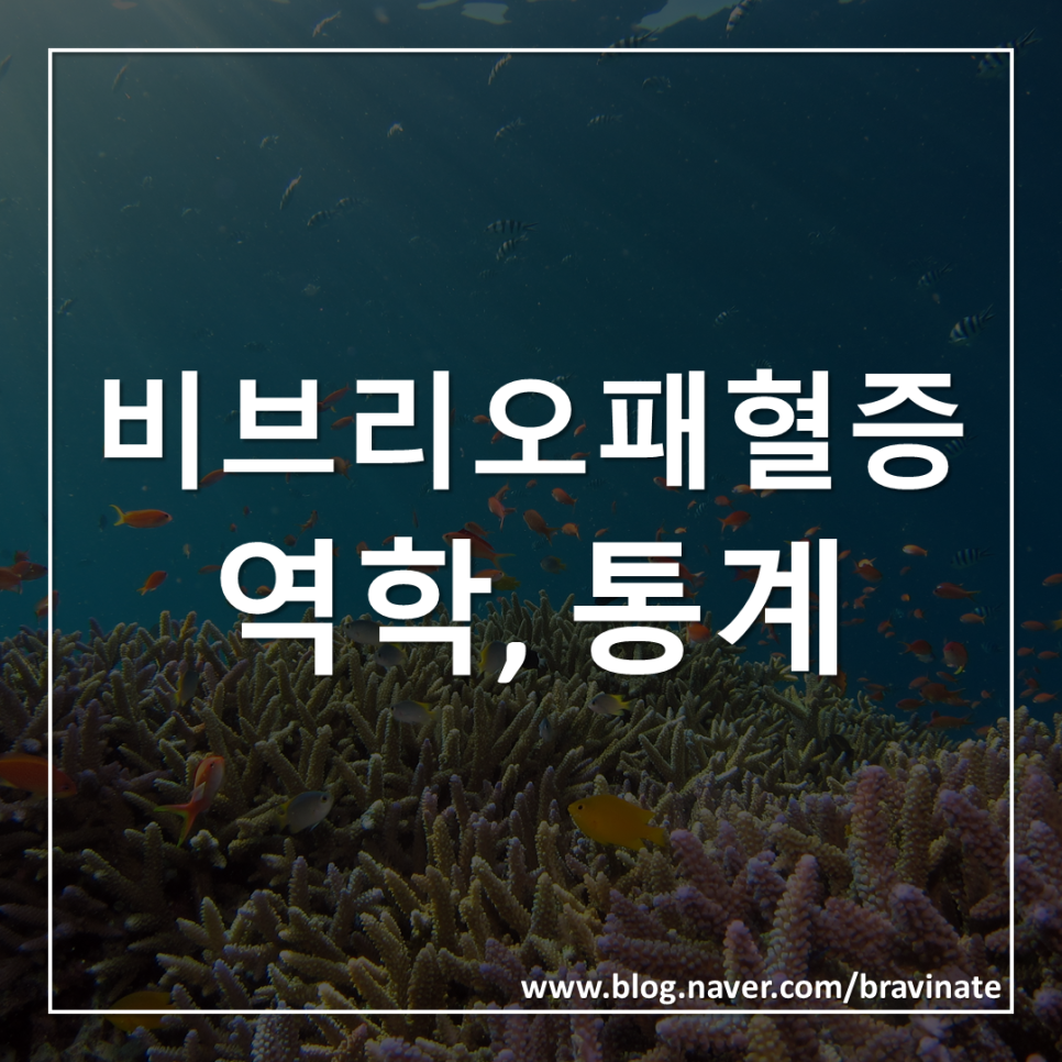 비브리오 패혈증 의미, 원인, 증상, 증세, 진단, 검사, 치료, 합병증, 정보, 치사율, 사망, 예방 : 네이버 블로그