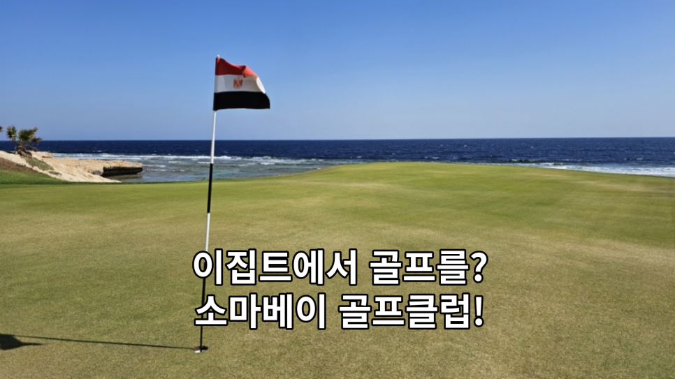 소마골프 이미지