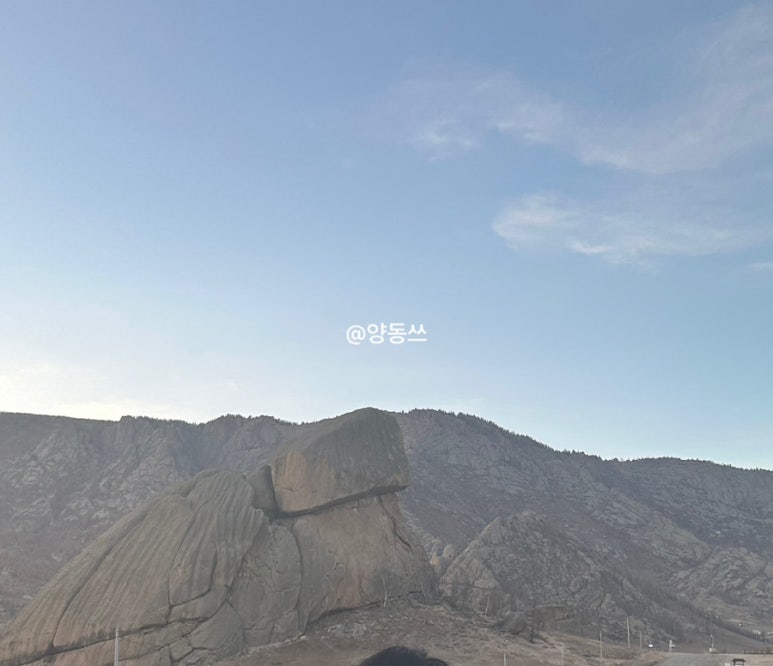 낙타샵 이미지