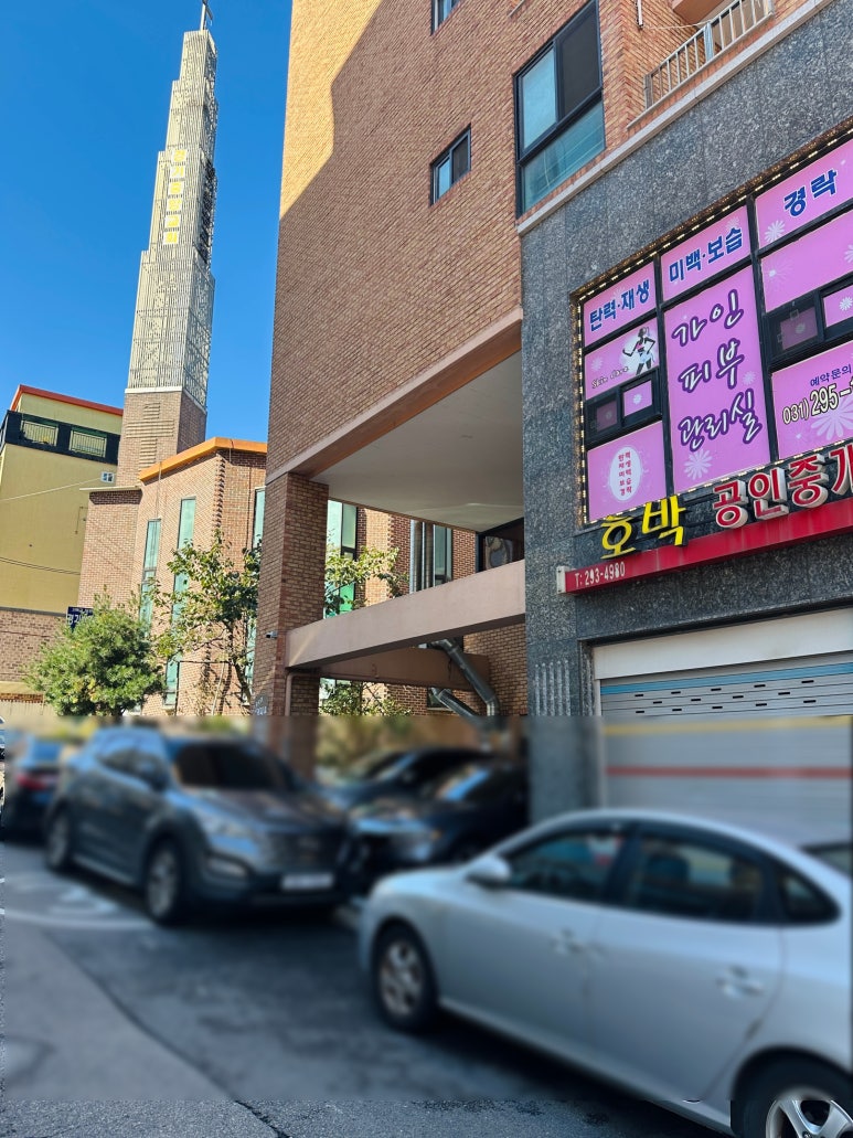 돈이닭 이미지