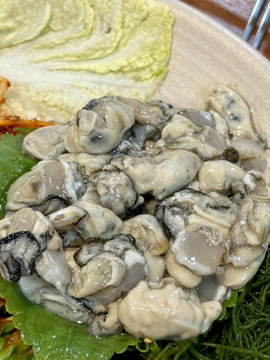 굴섬 이미지