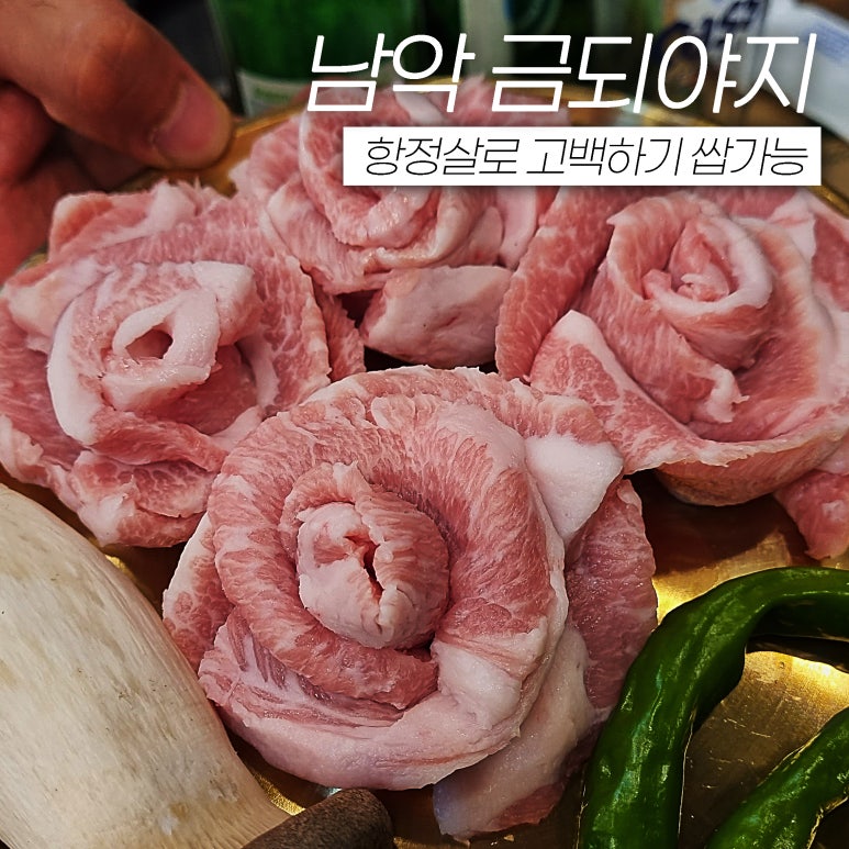 금되야지 이미지