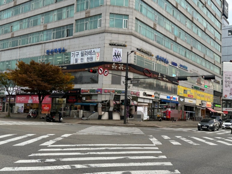 참치어화 이미지