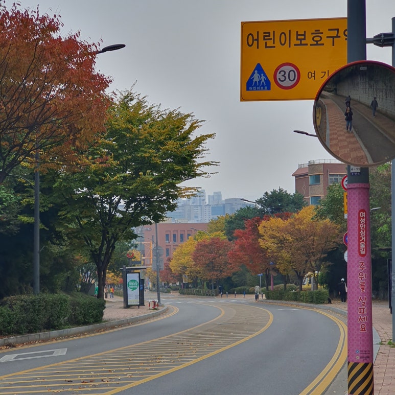 카페찹스 베이커리 이미지