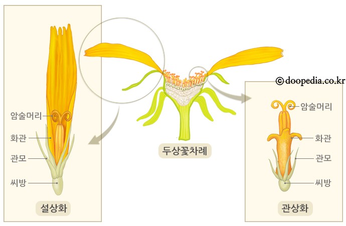 천보산 유아숲체험원 이미지