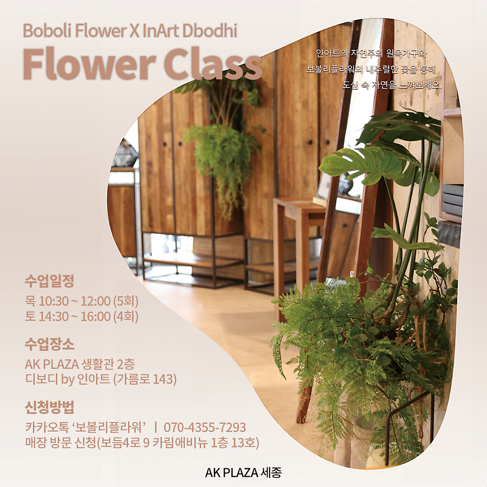 보볼리플라워 이미지