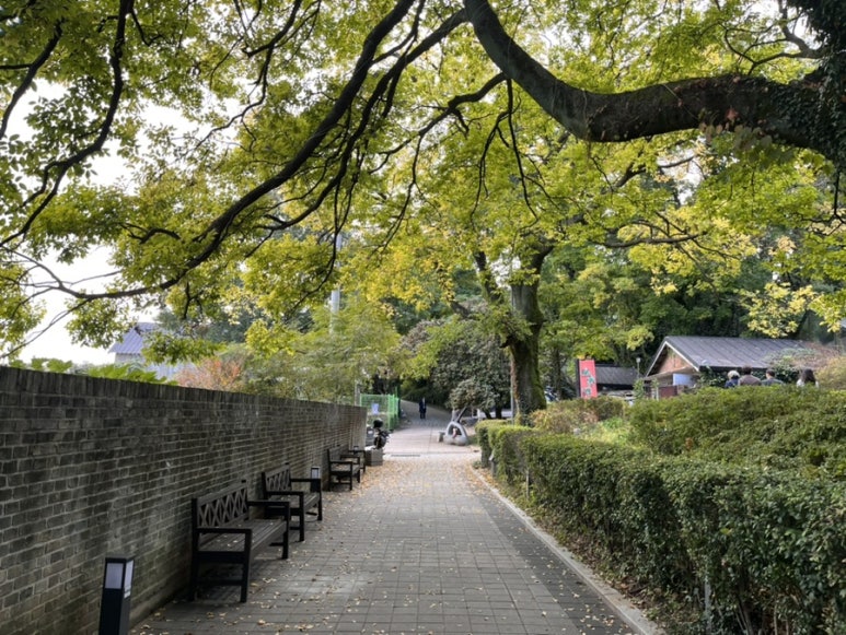 1995헤르츠 이미지