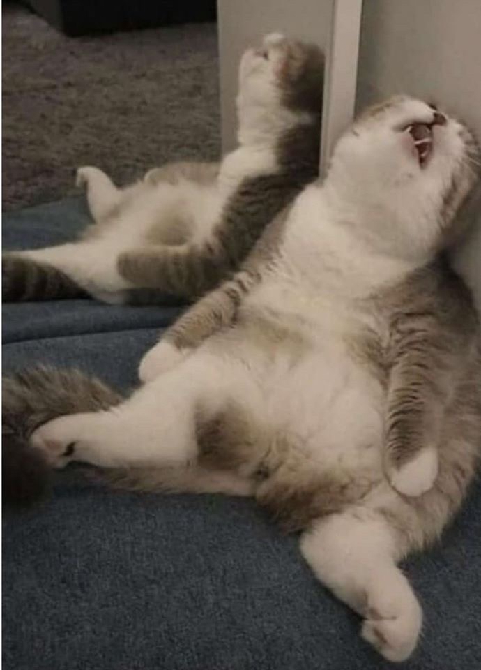 카페;혜 이미지