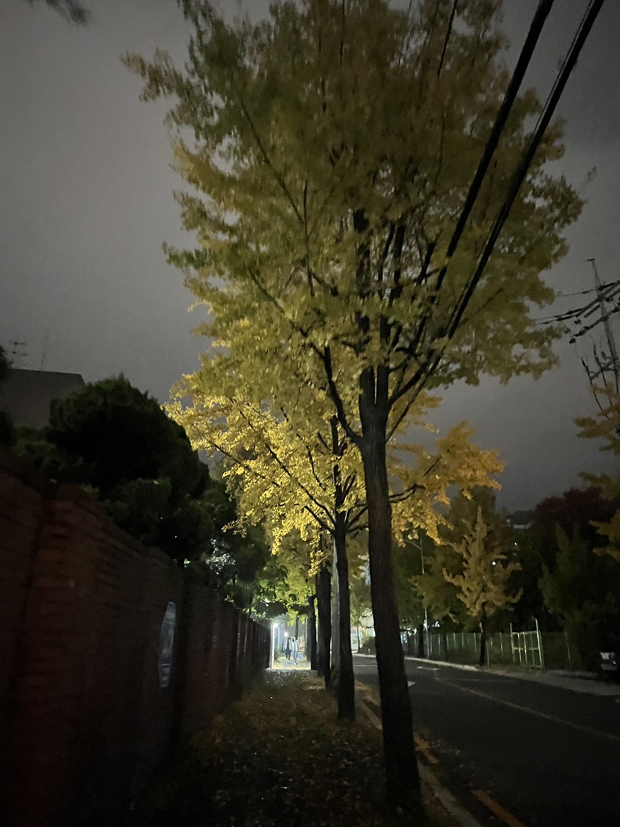 빙달강북도봉점 이미지