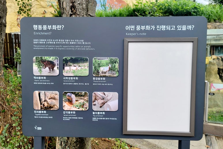서울스카시 이미지