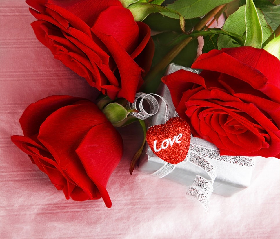 행복한결혼정보 이미지