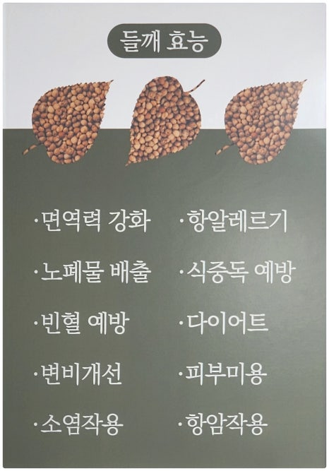 원곡팥칼국수 이미지