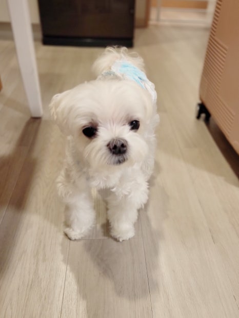 대심냉동 이미지