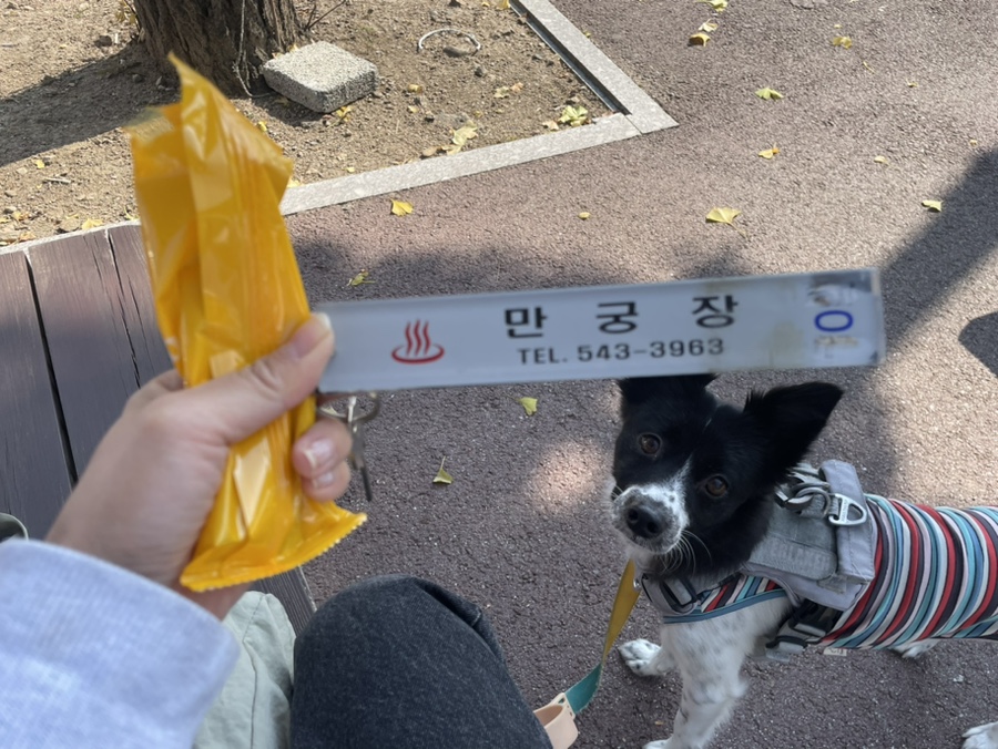 만궁장 이미지