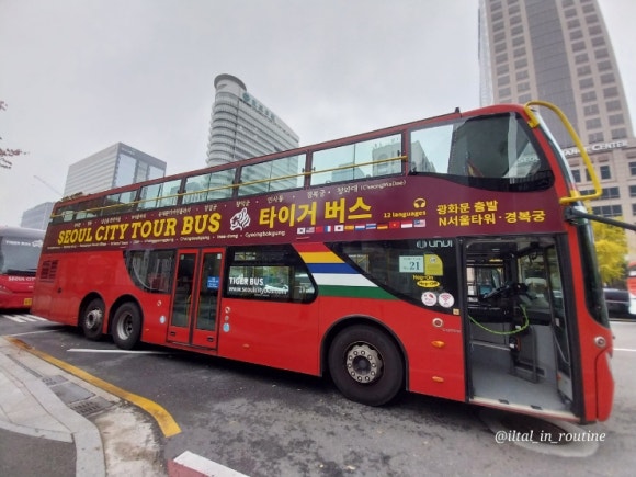 제주면장남산서울 이미지