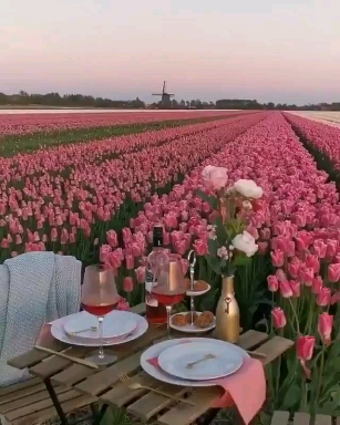 소망꽃집 이미지