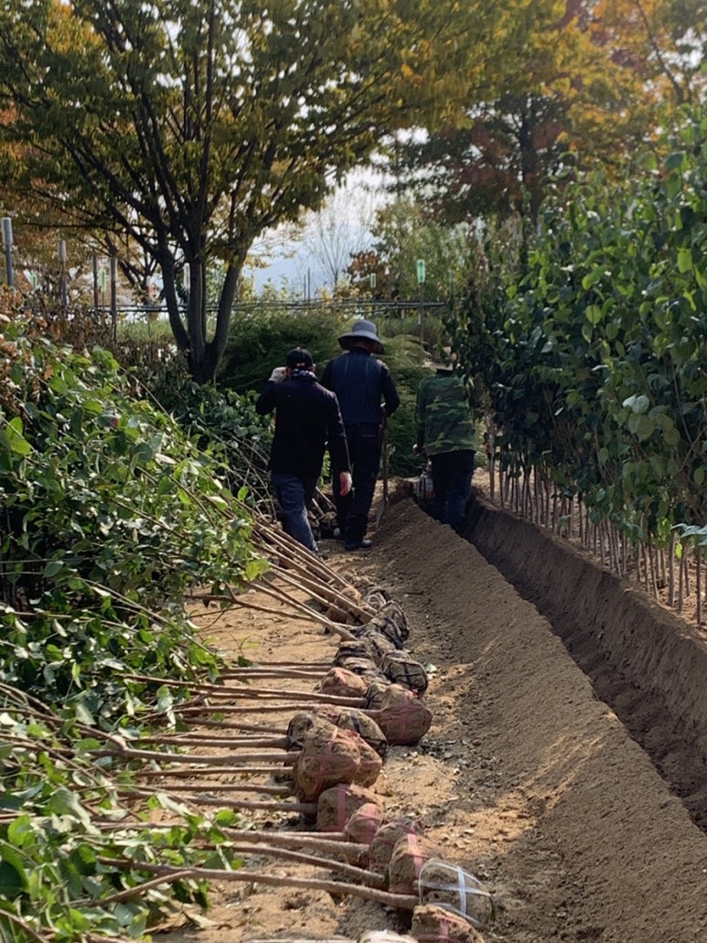 광일정비 이미지