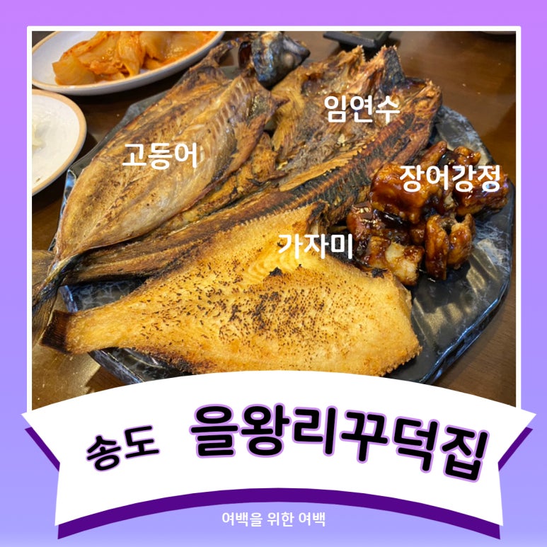 생선상륙 이미지